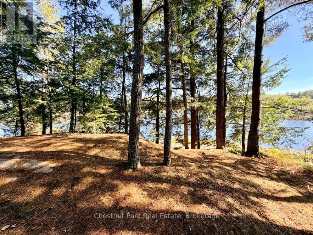 1062 ELMHURST LANE, Kennisis Lake