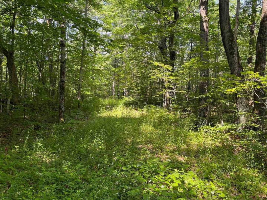 243 PRISQUE ROAD, Georgian Bay