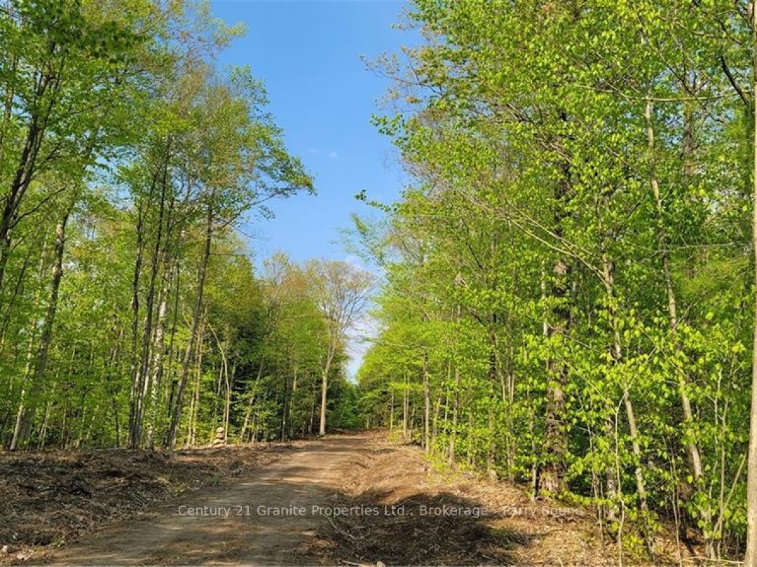 Lot2 Seguin River Estates Louisa Street, Parry Sound