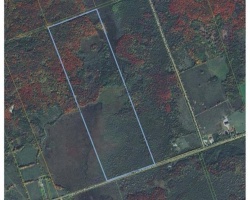 Property for Sale on 0 Laxton Boundary Line, Kawartha Lakes