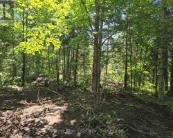 Property for Sale on 0 HWY 503 HIGHWAY E, Highlands East (Glamorgan)