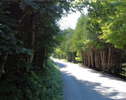 Property for Sale on 0 Fred Jones Road, Haliburton