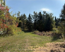 Property for Sale on 0 THE AVENUE, Kawartha Lakes (Kinmount)