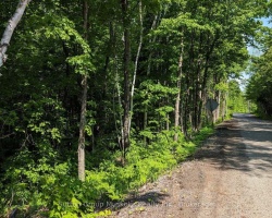 Property for Sale on LOT 1 TALLY-HO WINTER PARK ROAD, Lake of Bays (Sinclair)