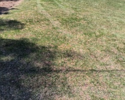 Property for Sale on 8 FULSOM CRESCENT, 