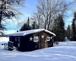 Cottage for Sale on Brady Lake