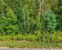 Property for Sale on Part Lot 2 N/A, MacTier