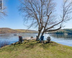 Cottage for Sale on Lake Vernon