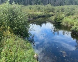 Cottage for Sale on Stirling Creek