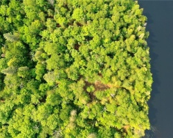 Cottage for Sale on Lynx Lake