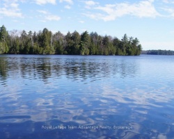 Cottage for Sale on Harris Lake