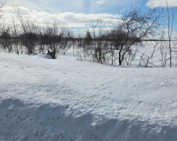 Property for Sale on PT LT 10 CON 4, Kawartha Lakes (Eldon)