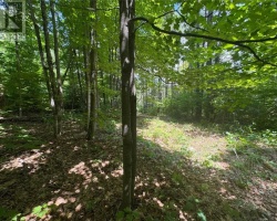 Property for Sale on 16 Jacklin, Seguin