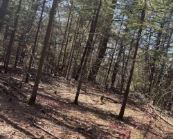 Property for Sale on 0 KIRKPATRICK LANE, Bracebridge (Draper)