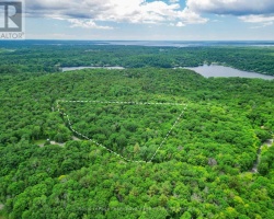 Property for Sale on 0 MILL LAKE TRAIL, McDougall