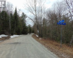 Property for Sale on LOT 11 PLAN 580 NORTH DRIVE, Dysart et al (Guilford)