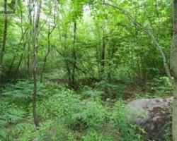 Property for Sale on LOT 7 WEST CONCESSION 3, Strong