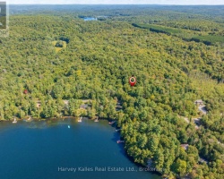 Property for Sale on 0 EAST WALKER LAKE ROAD, 