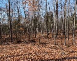 Property for Sale on Lot 1 Tally Ho Winter Park Road, Lake Of Bays