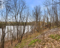Cottage for Sale on Brady Lake