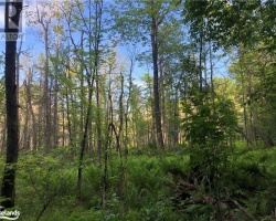 Property for Sale on Lot 7 Con 5, Baysville