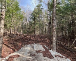 Property for Sale on Lot 27 Bushwolf Lake Road, Haliburton