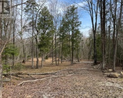 Property for Sale on TBD NORTH DRIVE, Dysart et al (Guilford)