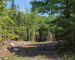 Property for Sale on Lot 2 Limberlost Road, Lake Of Bays