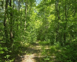 Property for Sale on 1134 WALKERS LINE ROAD, 