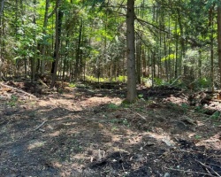 Property for Sale on LOT 29 WEST COURT, Dysart et al (Guilford)