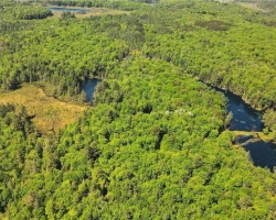 Property for Sale on 0 Bobcaygeon Road, Minden