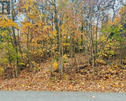 Property for Sale on 554 BARNES AVENUE, 