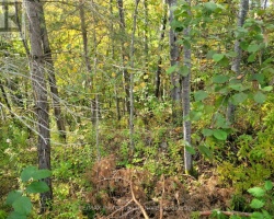 Property for Sale on 32 - 4 FOX RUN LANE, Huntsville (Chaffey)