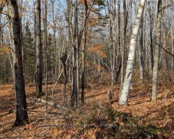 Property for Sale on Lot 2 Tally Ho Winter Park Road, Lake of Bays (Sinclair)