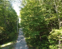 Property for Sale on 0 Hubbard & Montgomery Lane, Haliburton