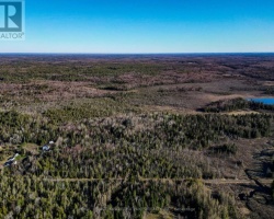 Property for Sale on LT 4 DUTCH LINE ROAD W, Trent Lakes