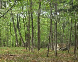 Property for Sale on 0 HIGHWAY 118, 