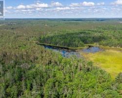 Property for Sale on 0000 MONCK ROAD, 