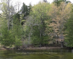 Cottage for Sale on Twelve Mile Lake