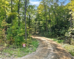 Property for Sale on Lot 11 N/A, Algonquin Highlands