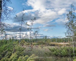 Property for Sale on LOT 254 MCGUIRE BEACH ROAD, 