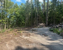 Property for Sale on 2816 GELERT ROAD, 