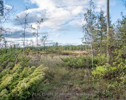 Property for Sale on LOT 256 MCGUIRE BEACH ROAD, 