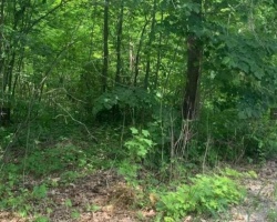 Property for Sale on LOT 12 SUTER DRIVE, Kawartha Lakes (Laxton/Digby/Longford)