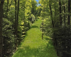 Property for Sale on Lot 165 Glen Lake Court, Eagle Lake