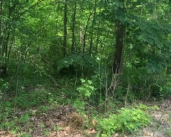 Property for Sale on LOT 12 SUTER Drive, Kawartha Lakes