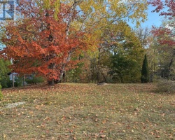 Property for Sale on VACANT LOT JOHN STREET N, 