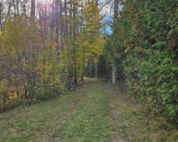Property for Sale on 3040 GRASS LAKE LINE, Severn