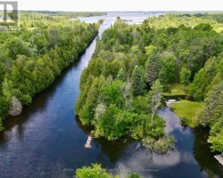 Property for Sale on 81 Mcguire Beach Road, Kawartha Lakes