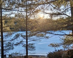 Cottage for Sale on Little Sunny Lake